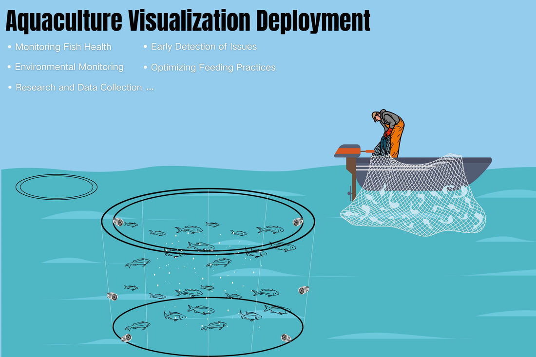 Barlus Revolutionizes Aquaculture with Cutting-Edge Underwater Cameras