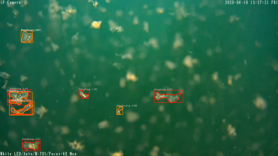 Using the Barlus Underwater Camera to Observe Alum Formation at Water Treatment Plants