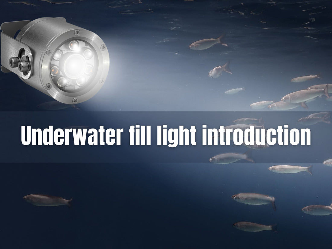 Learn about the types of fill lights available at Barlus