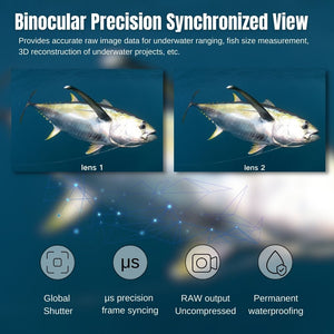 Underwater Global exposure binocular industrial camera size measurement, stereo measurement, image positioning