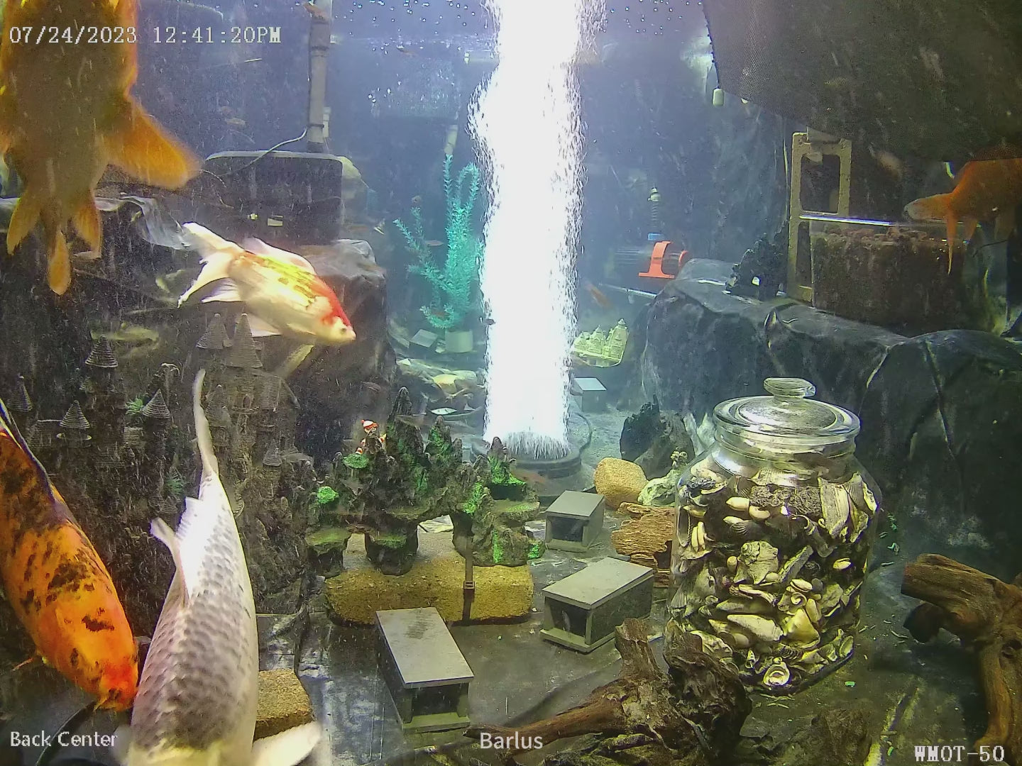 GoFish Cam Wireless Underwater Fishing Camera 2021  BARLUS Aquarium CCTV  Marine IP 316L Stainless 