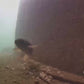 Mini Underwater IP Camera Diver Helmet ROV Underwater 140° Wide Angle Camera