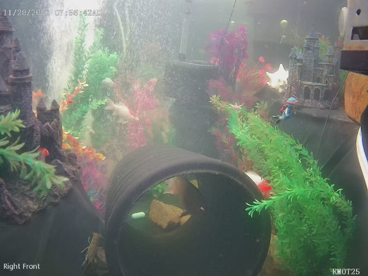 HD Wide Angle Underwater IP Camera for Saltwater and Freshwater