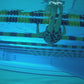 Best Swimming Pool Monitoring Underwater Synchronized Swimming Live High Speed Underwater Webcam no light