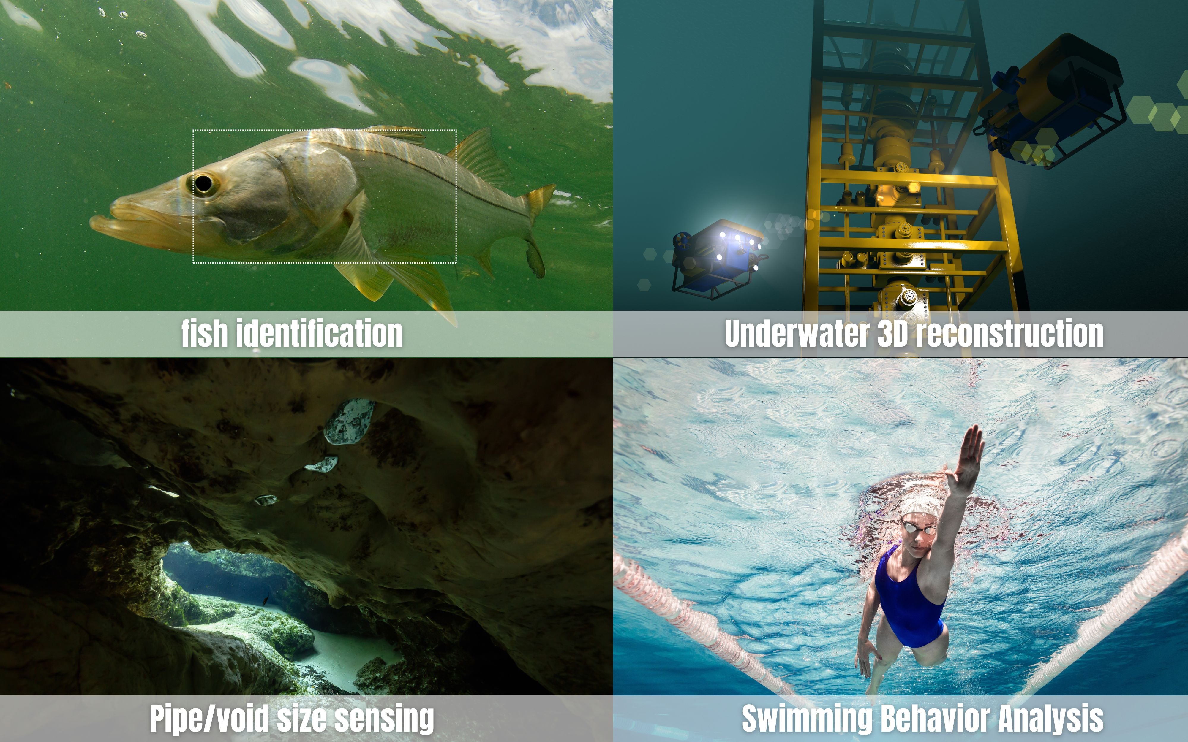 horus underwater camera - realtime underwater image... Underwater Global exposure binocular industrial camera size measuremen ...